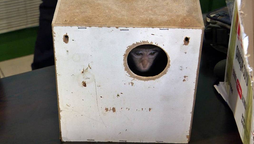 Otobüsle gönderilen koliyi kimse almayınca şoke eden gerçek ortaya çıktı! Hiç kimse bu kadar absürtlüğü tahmin edemezdi 17